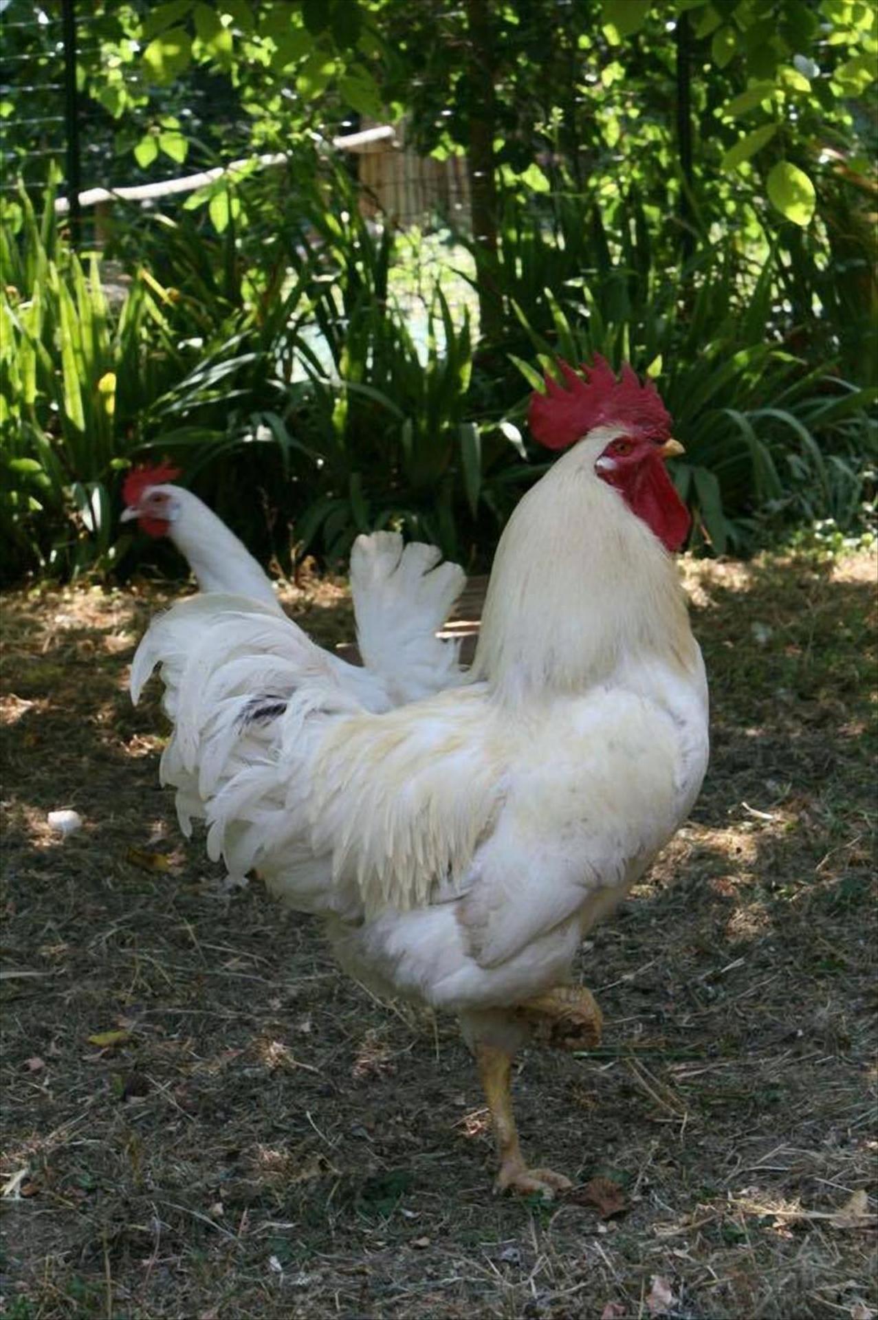 卡莫利Collina E Mare别墅 外观 照片